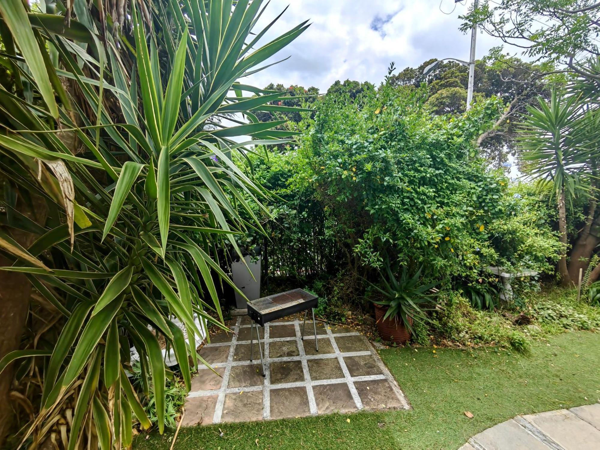 Swiss Cottage Guest House Le Cap Extérieur photo